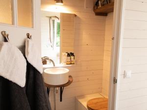 Shepherds Hut a tiny ecohouse near Dwingelderveld