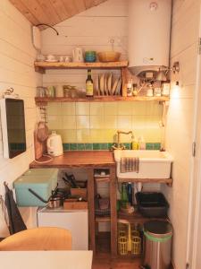 Shepherds Hut a tiny ecohouse near Dwingelderveld