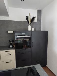 Apartments-Salzkammergut Hallstättersee und Gosausee