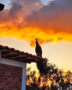 Cabaña Buenavista 3 habitaciones