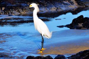 Hostel CASA DA PEDRA CHATA