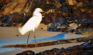 Hostel CASA DA PEDRA CHATA