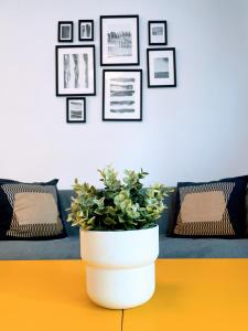 Central Apartment in Sanlucar