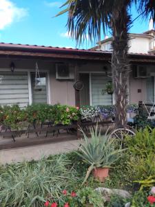 Стаи за гости Маги