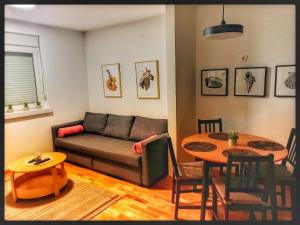 Apartman Fonte Vrnjačka Banja
