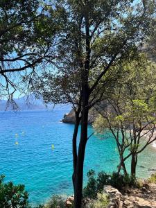 B&B / Chambres d'hotes Casa Mimosa : photos des chambres