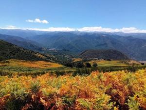 Appartements Residence DOMAINE DE LA VALEE D-AX : photos des chambres