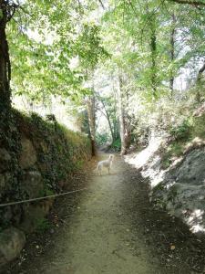 Appartements Residence DOMAINE DE LA VALEE D-AX : photos des chambres
