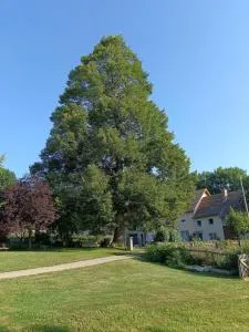 Gîte du Tilleul - Laye