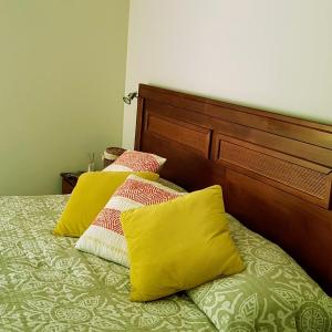 Pucon Adventures & Snow