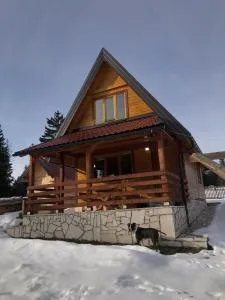 Braća Kosorić - Sokolac