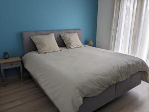 Ideal 24h Le Mans and horse European pole