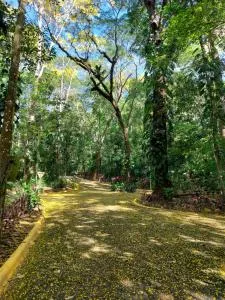 Selva Pacific Mountain Beach - El Sur