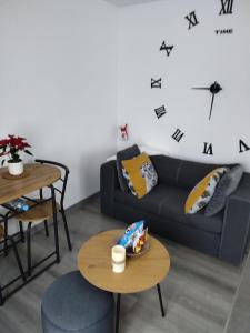 Appartements Bel appartement entier F1 a 5 mn de Mulhouse : photos des chambres