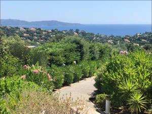 Appartements Terrasse de 30m2 vue mer panoramique 1 chambre : photos des chambres