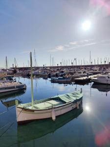 Appartements Le COQ Eden - Air conditioning - Seafront : Appartement 1 Chambre