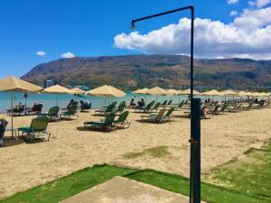 Penthhouse Studio next to the beach