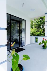 White rose villa