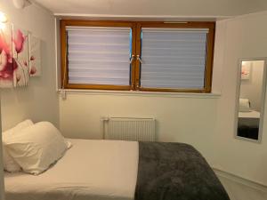 Chelsea best apartment for females only