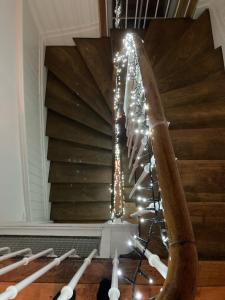 Maisons d'hotes LE 41 AVENUE FOCH : photos des chambres