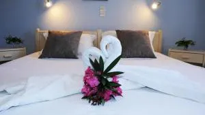 Skaros House - Aspiotádes