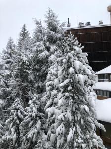 Apartamento en Baqueira a 100 metros de la telecabina