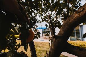 Villa luxe Ibiza Style, with heated pool