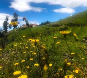 Casa de campo Namasté