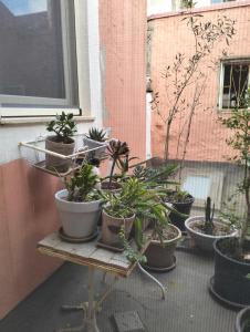 Casa - Atelier in centro storico img70