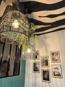 Appartements Studio Savane, 6 min du Zoo : photos des chambres