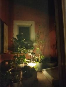 Casa - Atelier in centro storico img72