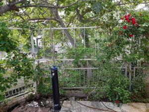 Apartment near the sea