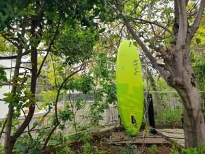 Apartment near the sea