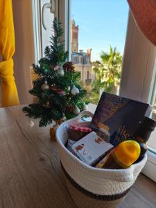 Appartements Le Cosy Perpignan Centre, 2 rooms 2 bathrooms, free WIFI, lift, central, renovated, spacious : photos des chambres