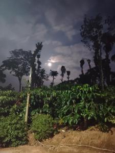 Shivalaya Homestay