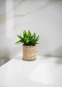 Villa Le Conche - Flora