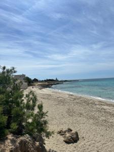 Villa Le Conche - Flora