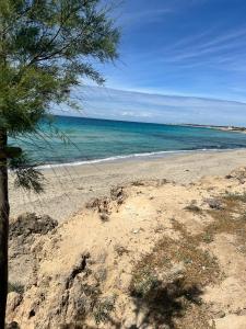 Villa Le Conche - Flora