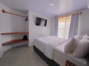 Monstera Apartments Monteverde