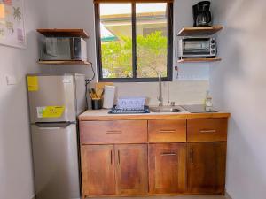 Monstera Apartments Monteverde