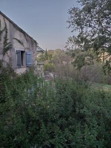 Maisons de vacances La bonne adresse de Provence : photos des chambres