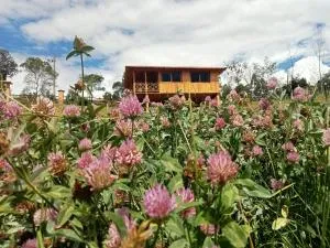 Cabaña Colibri - Salitre