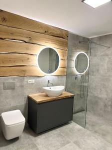 AlpLoft Apartment Top2