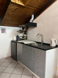 Casa Parco Dora Torino - Intero Monolocale vicino al Centro e Allianz Stadium Juventus