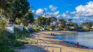 appartement en plein centre, wifi