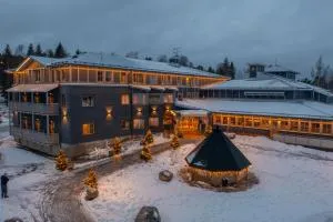 Matarengi Lodge - Aavasaksa