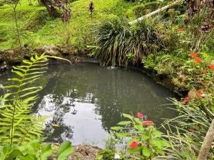 Large Bogor Villa with Pool, BBQ Grill & Fishing Spot by 2ndHome