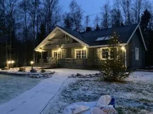 Stunning Cabin At The Sea - Yli-Ii