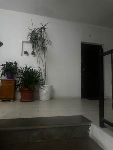 Il Nido-Entire apartment with balcony