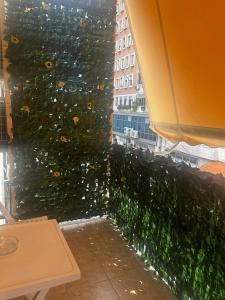 Il Nido-Entire apartment with balcony